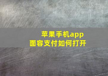 苹果手机app面容支付如何打开