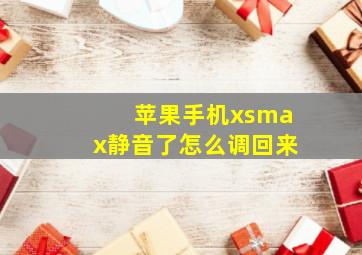 苹果手机xsmax静音了怎么调回来