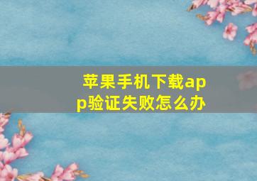 苹果手机下载app验证失败怎么办