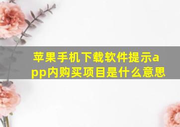 苹果手机下载软件提示app内购买项目是什么意思