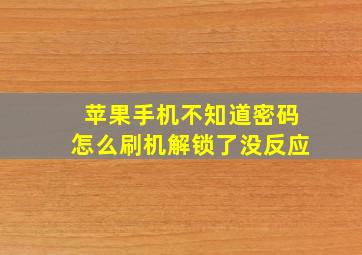 苹果手机不知道密码怎么刷机解锁了没反应