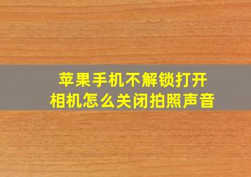 苹果手机不解锁打开相机怎么关闭拍照声音