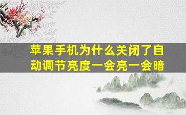 苹果手机为什么关闭了自动调节亮度一会亮一会暗