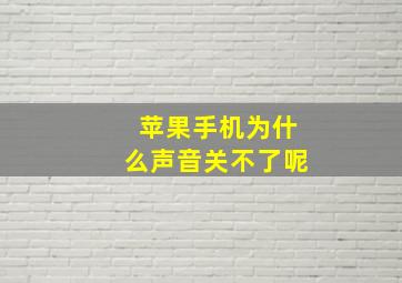 苹果手机为什么声音关不了呢