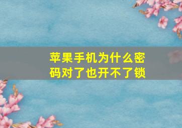 苹果手机为什么密码对了也开不了锁