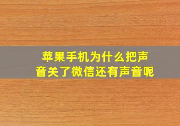 苹果手机为什么把声音关了微信还有声音呢