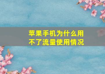 苹果手机为什么用不了流量使用情况