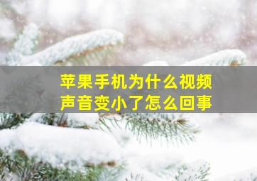 苹果手机为什么视频声音变小了怎么回事