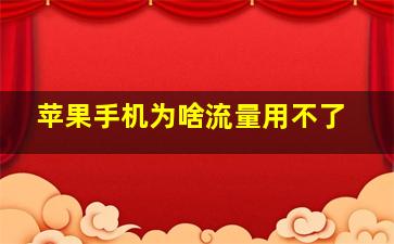 苹果手机为啥流量用不了