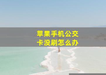 苹果手机公交卡没刷怎么办