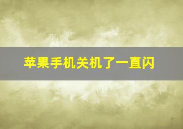 苹果手机关机了一直闪