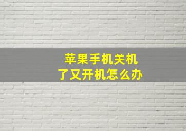 苹果手机关机了又开机怎么办