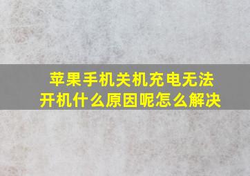 苹果手机关机充电无法开机什么原因呢怎么解决