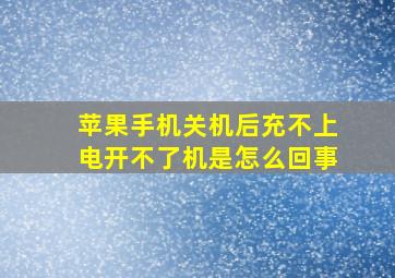 苹果手机关机后充不上电开不了机是怎么回事