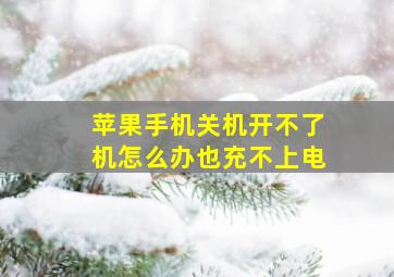 苹果手机关机开不了机怎么办也充不上电