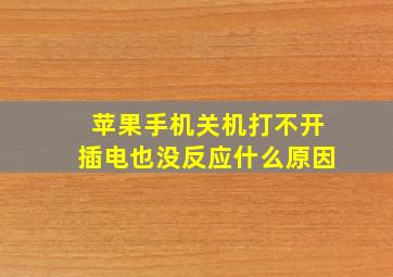 苹果手机关机打不开插电也没反应什么原因