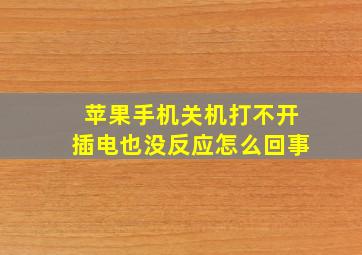 苹果手机关机打不开插电也没反应怎么回事