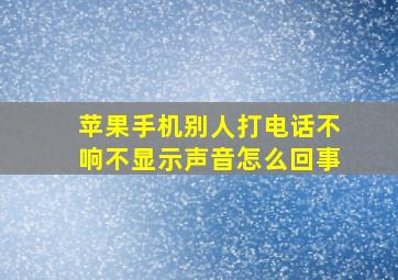 苹果手机别人打电话不响不显示声音怎么回事