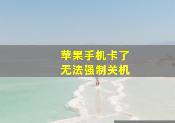 苹果手机卡了无法强制关机