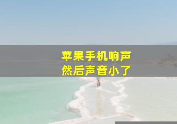 苹果手机响声然后声音小了