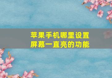 苹果手机哪里设置屏幕一直亮的功能