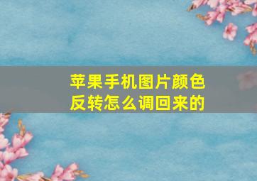 苹果手机图片颜色反转怎么调回来的