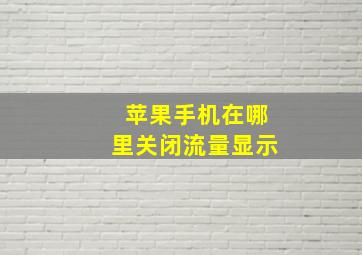 苹果手机在哪里关闭流量显示