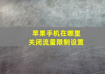 苹果手机在哪里关闭流量限制设置