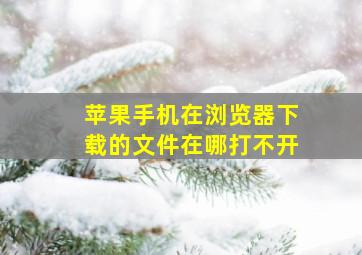 苹果手机在浏览器下载的文件在哪打不开