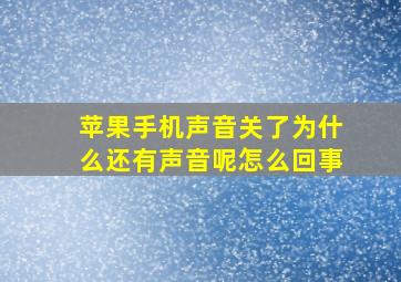 苹果手机声音关了为什么还有声音呢怎么回事