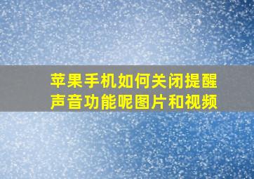 苹果手机如何关闭提醒声音功能呢图片和视频