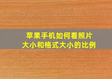 苹果手机如何看照片大小和格式大小的比例