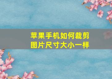 苹果手机如何裁剪图片尺寸大小一样