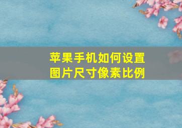 苹果手机如何设置图片尺寸像素比例