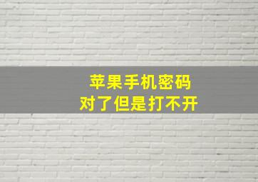 苹果手机密码对了但是打不开