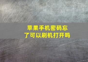 苹果手机密码忘了可以刷机打开吗