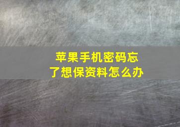 苹果手机密码忘了想保资料怎么办