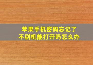 苹果手机密码忘记了不刷机能打开吗怎么办