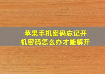 苹果手机密码忘记开机密码怎么办才能解开