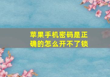 苹果手机密码是正确的怎么开不了锁