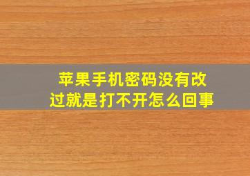 苹果手机密码没有改过就是打不开怎么回事