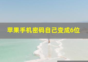 苹果手机密码自己变成6位