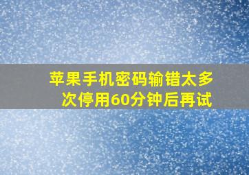 苹果手机密码输错太多次停用60分钟后再试