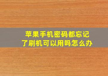 苹果手机密码都忘记了刷机可以用吗怎么办