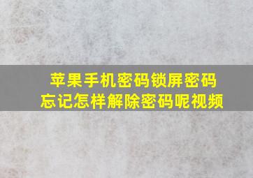 苹果手机密码锁屏密码忘记怎样解除密码呢视频