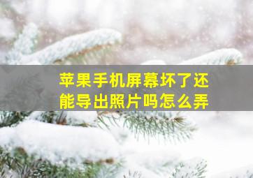 苹果手机屏幕坏了还能导出照片吗怎么弄