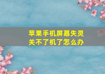 苹果手机屏幕失灵关不了机了怎么办