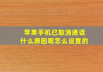 苹果手机已取消通话什么原因呢怎么设置的