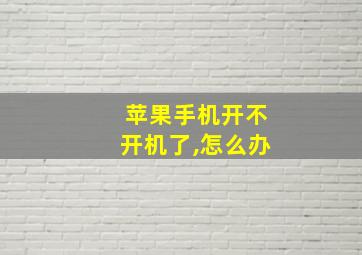 苹果手机开不开机了,怎么办