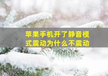 苹果手机开了静音模式震动为什么不震动